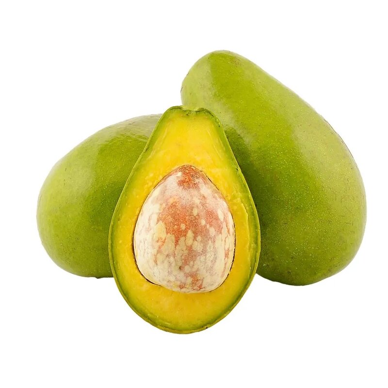 Aguacate